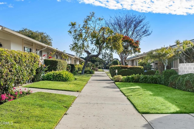 view of home's community featuring a yard