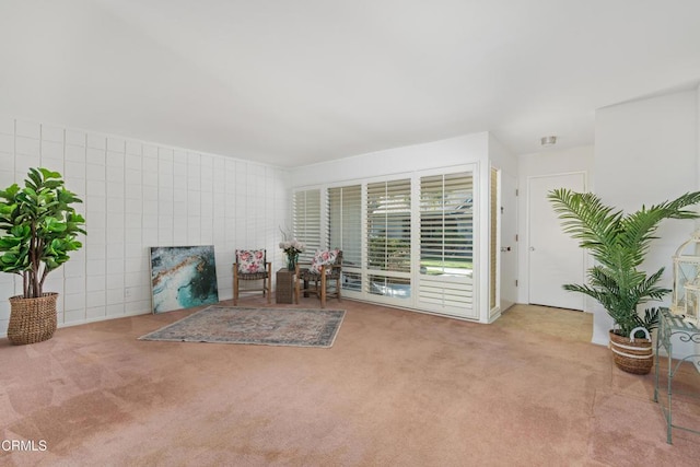 living area with light carpet and tile walls