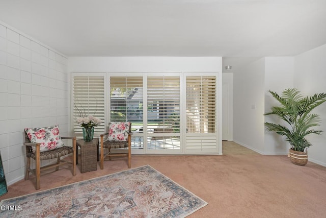 living area featuring carpet floors