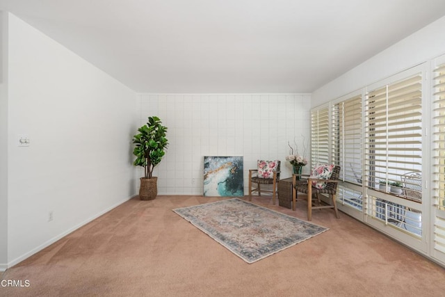 sitting room with light carpet