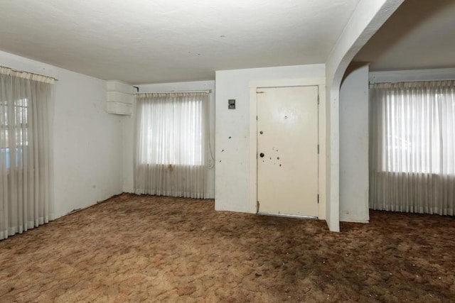 carpeted entrance foyer with a wealth of natural light