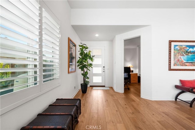 foyer entrance with a wealth of natural light and light hardwood / wood-style floors