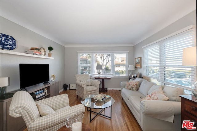 living room with a healthy amount of sunlight and light wood-type flooring