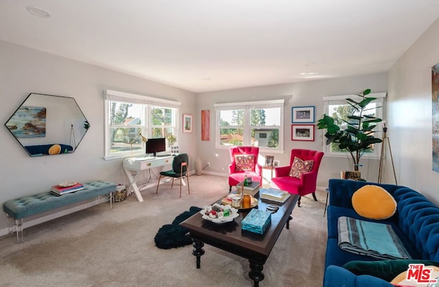 view of carpeted living room