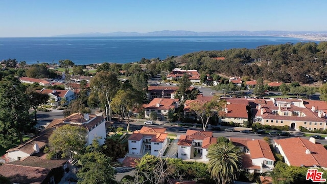 bird's eye view featuring a water and mountain view