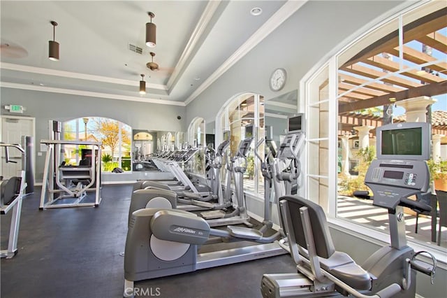 gym with ornamental molding, a healthy amount of sunlight, and a raised ceiling