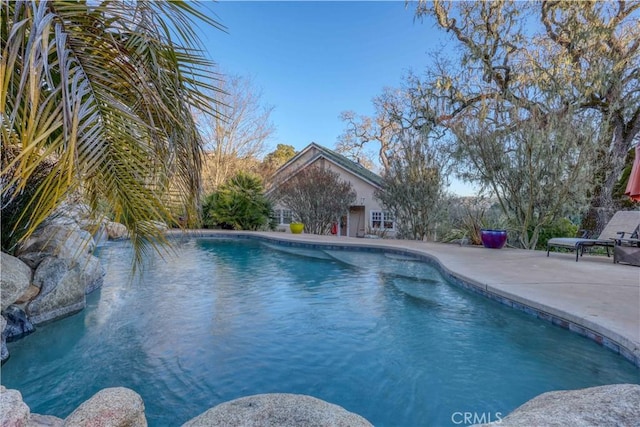 view of pool featuring a patio