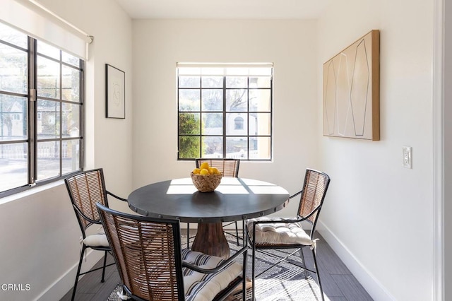 dining room featuring hardwood / wood-style floors and a wealth of natural light