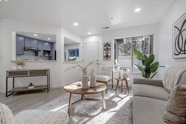 living room featuring a fireplace, light hardwood / wood-style flooring, and sink