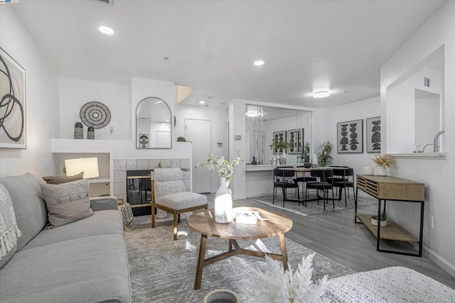 living room featuring a fireplace and light hardwood / wood-style flooring