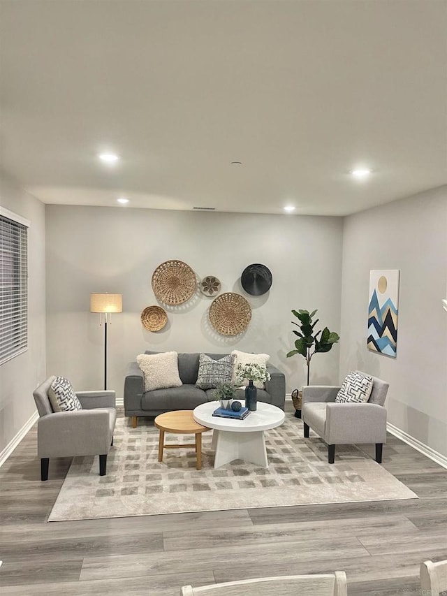 living room with wood-type flooring