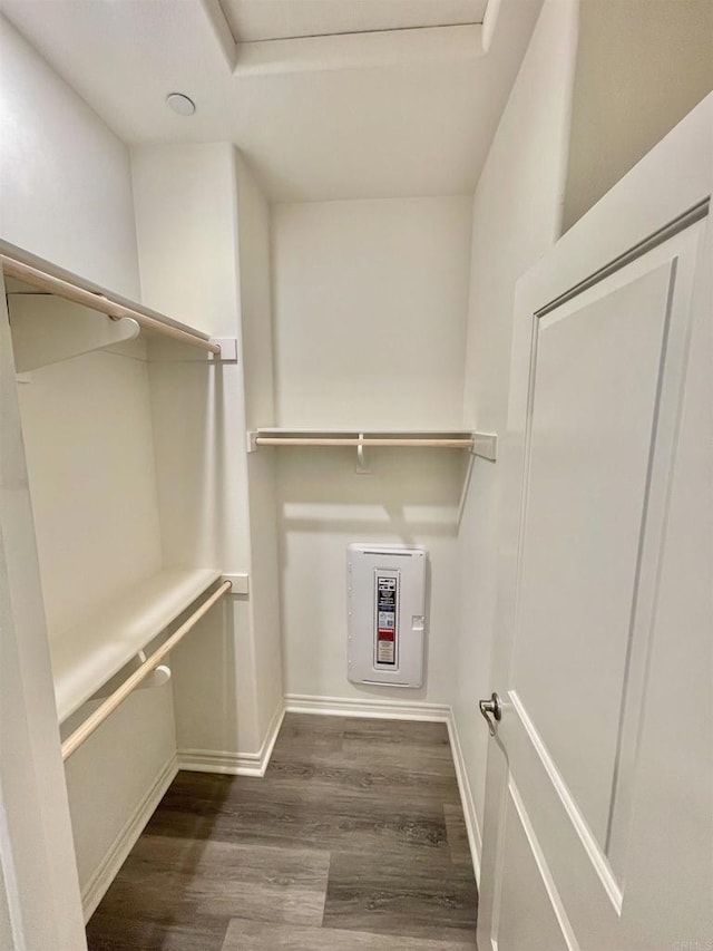 spacious closet featuring hardwood / wood-style floors