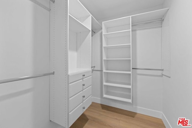 spacious closet with light hardwood / wood-style flooring