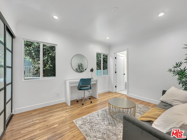 living room featuring light hardwood / wood-style flooring