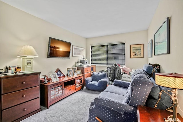 living room featuring light carpet