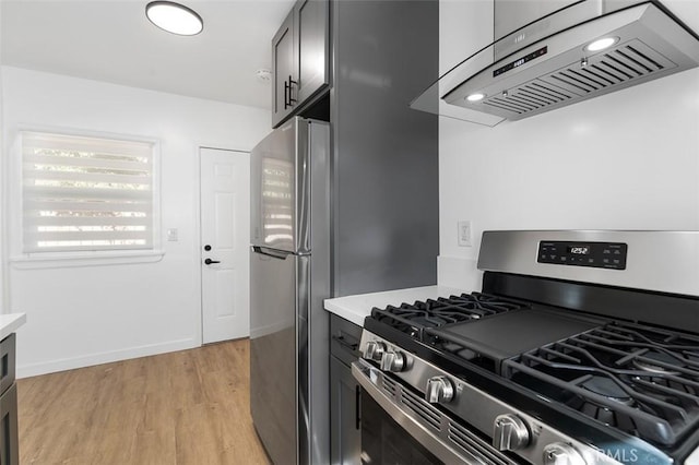 kitchen with ventilation hood, stainless steel appliances, and light wood-type flooring