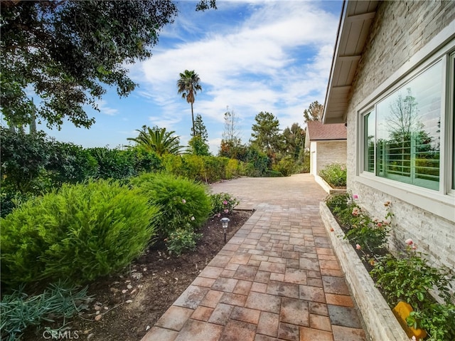 view of yard with a patio