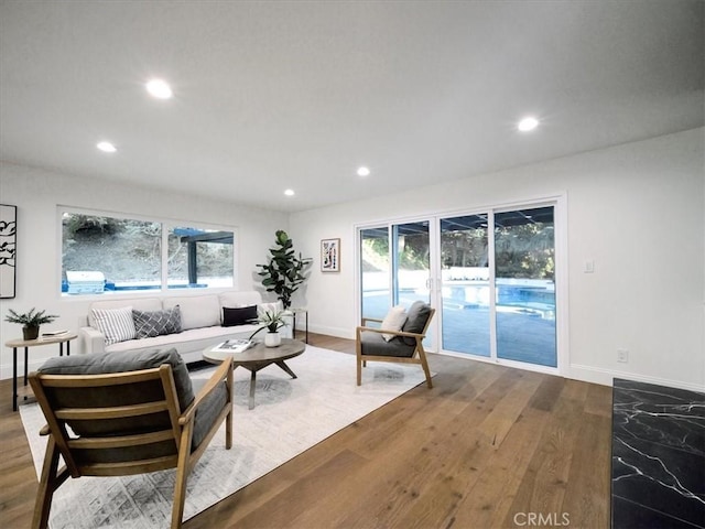 living room with wood-type flooring and a wealth of natural light