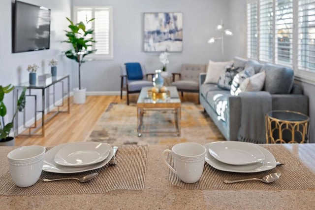 living room featuring hardwood / wood-style flooring