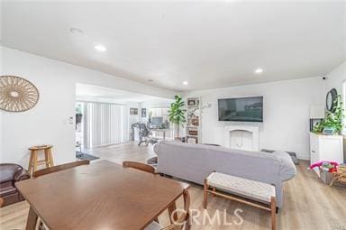 living room featuring light wood-type flooring