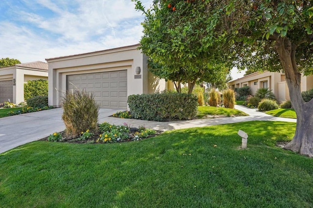 single story home featuring a front lawn