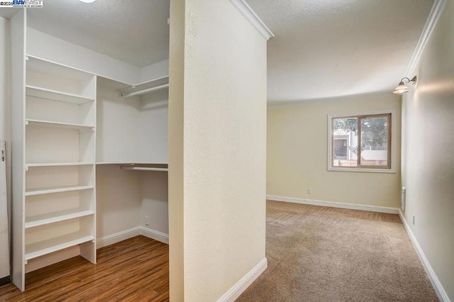 walk in closet featuring carpet