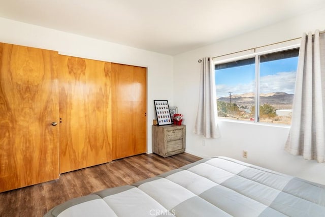 bedroom with wood-type flooring, a mountain view, and a closet