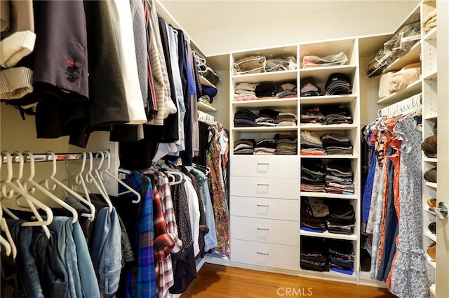 spacious closet with hardwood / wood-style flooring