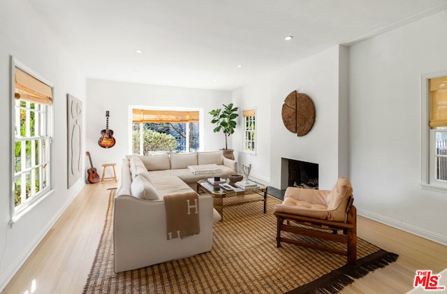 living room with light hardwood / wood-style flooring and plenty of natural light