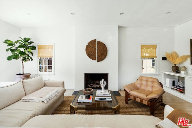 living room featuring hardwood / wood-style flooring