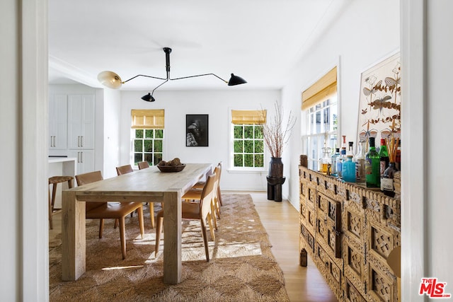 dining area with light hardwood / wood-style floors