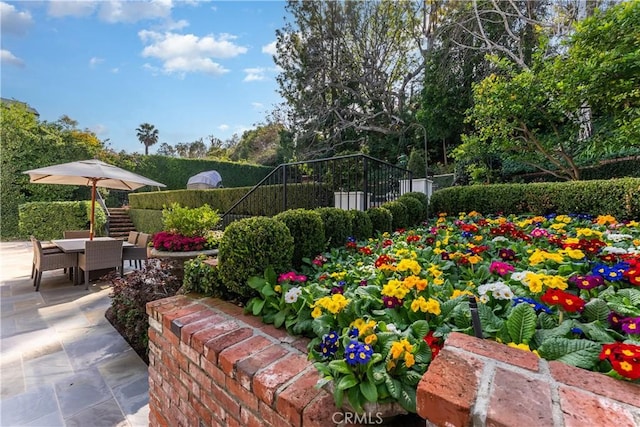 exterior space featuring a patio