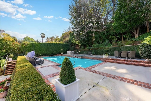 view of pool with a patio area