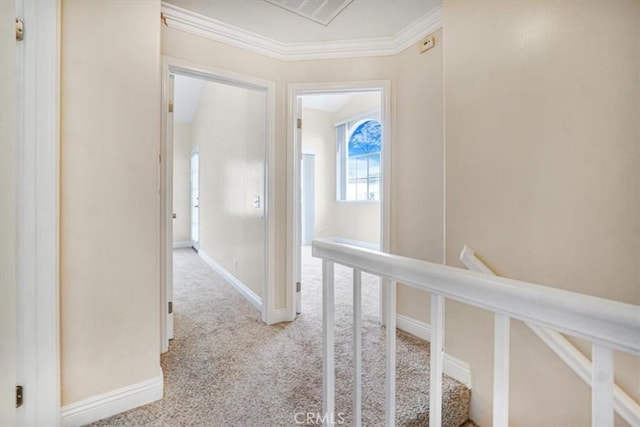 hall featuring ornamental molding and light colored carpet