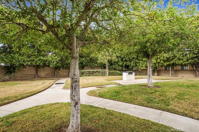 surrounding community featuring a lawn