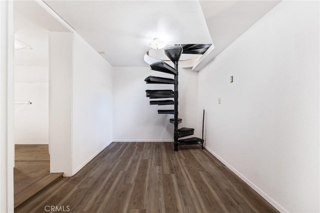 basement featuring dark hardwood / wood-style floors