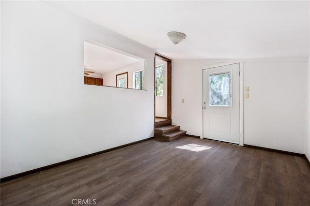 foyer featuring dark wood-type flooring