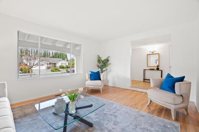 living room featuring wood-type flooring