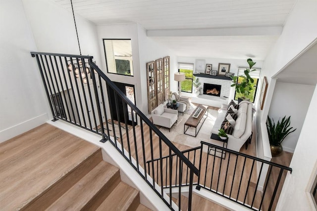 staircase featuring wood-type flooring