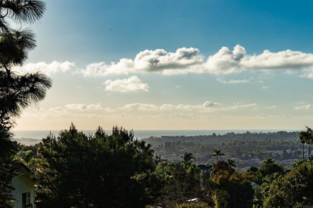 view of local wilderness