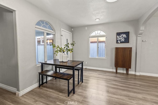 dining space featuring wood-type flooring