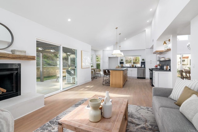 living room with high vaulted ceiling and light hardwood / wood-style flooring