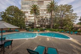 view of pool with a patio area