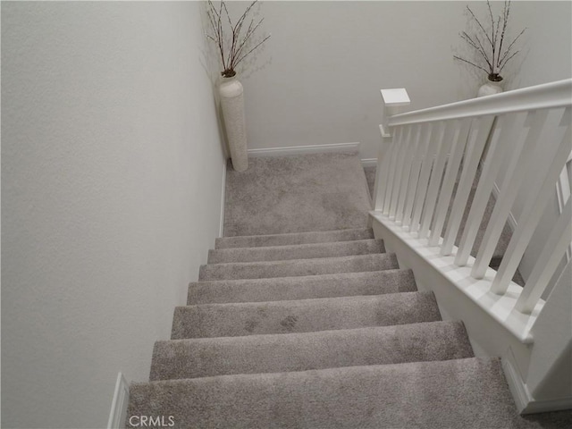 stairway featuring carpet flooring