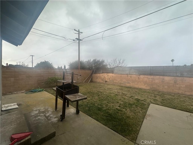 view of yard with a patio area