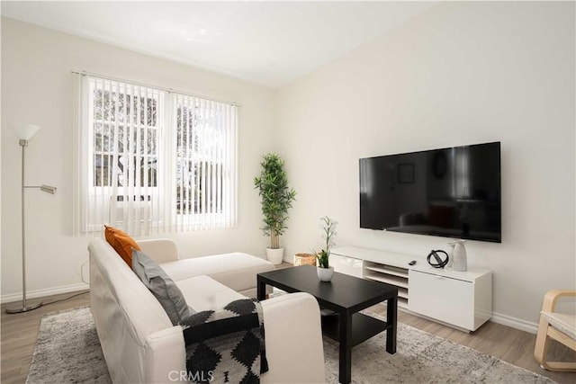 living room featuring light hardwood / wood-style floors