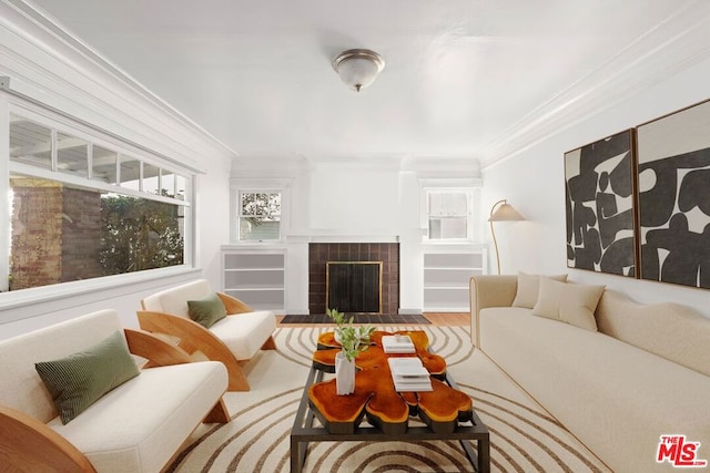 living room with a fireplace and ornamental molding