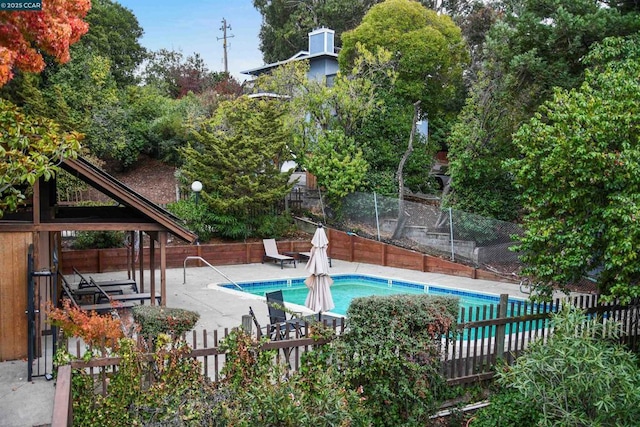 view of swimming pool featuring a patio