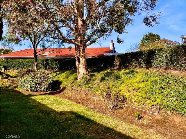 view of yard