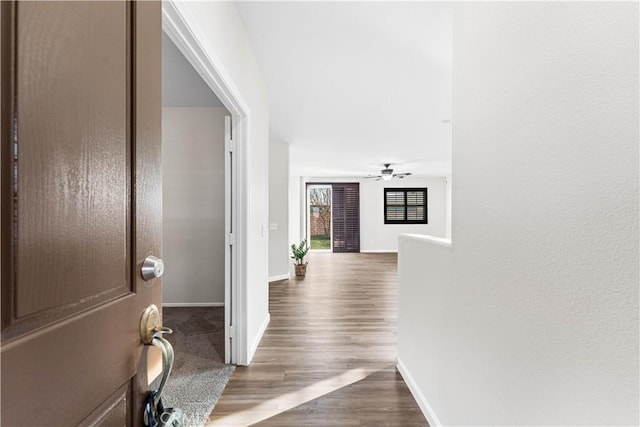 corridor featuring dark wood-type flooring